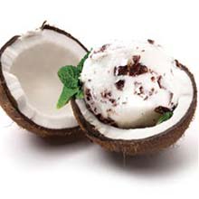 Vadilal Tender Coconut-HZ Ice Cream