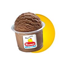 Havmor Chocolate Chips Ice Cream
